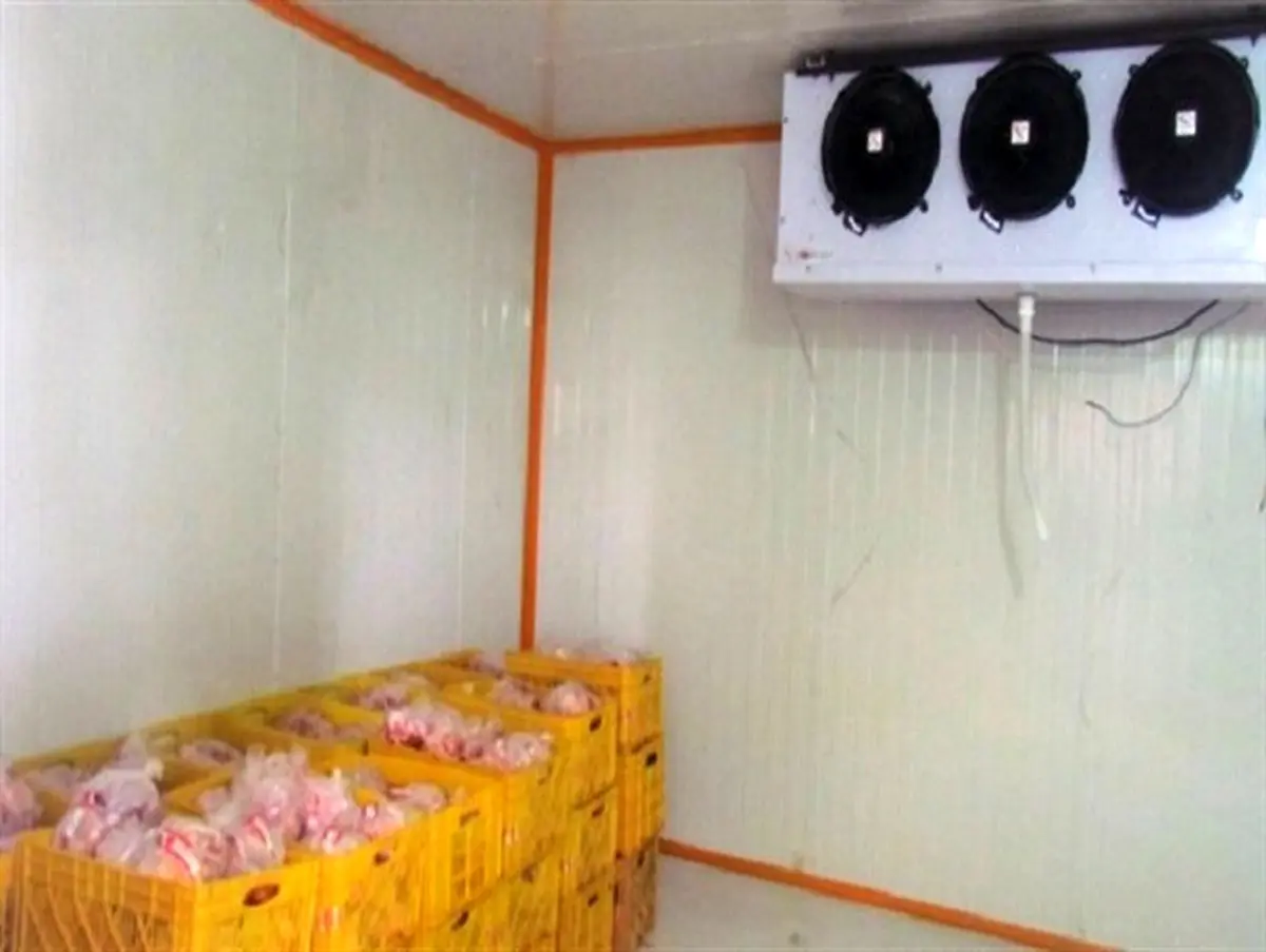 نخستین کارخانه قطعه بندی مرغ در تویسرکان آغاز به کار کرد