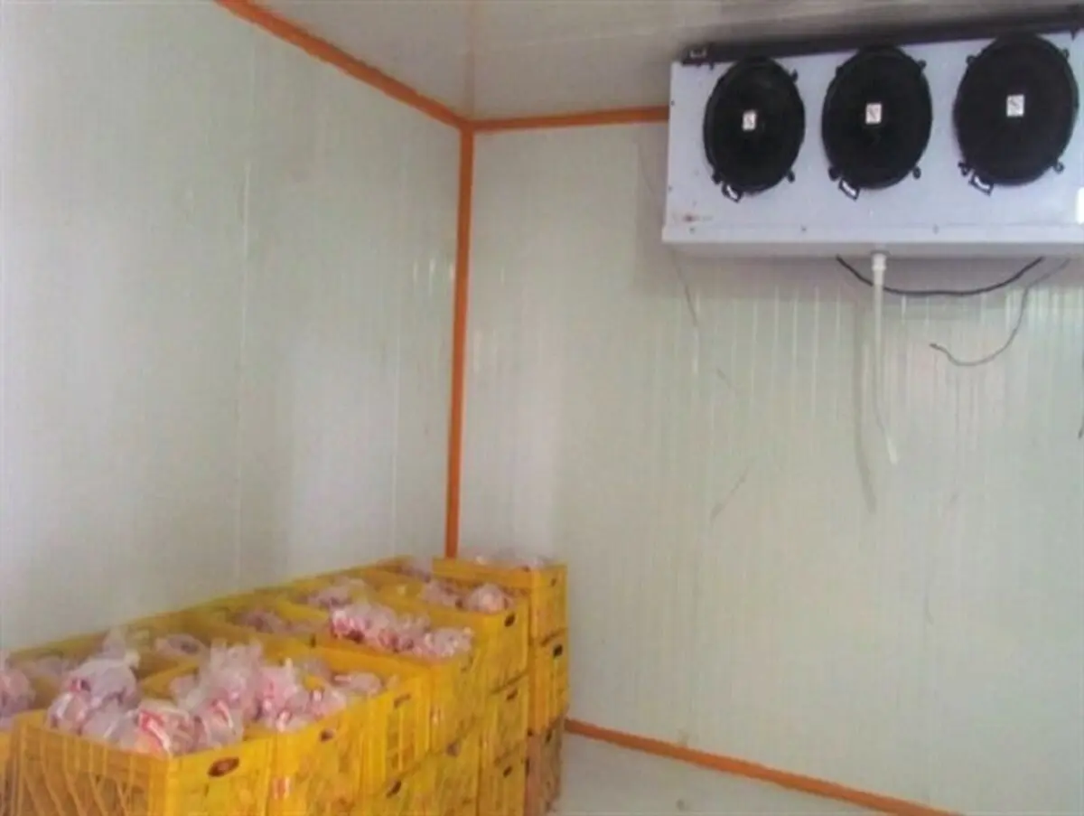 

نخستین کارخانه قطعه بندی مرغ در تویسرکان آغاز به کار کرد