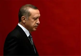 افشاگری جدید ویکیلیکس درباره اردوغان