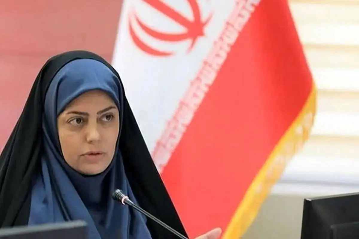 ۴ خودروی برقی از سوی وزارت کشور مجوز پلاک تاکسی گرفتند
