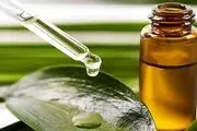 نابودی ویروس کرونا با استفاده از روغن درخت چای
