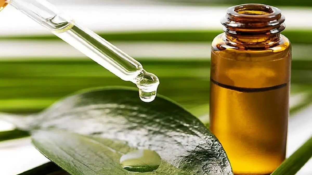 نابودی ویروس کرونا با استفاده از روغن درخت چای
