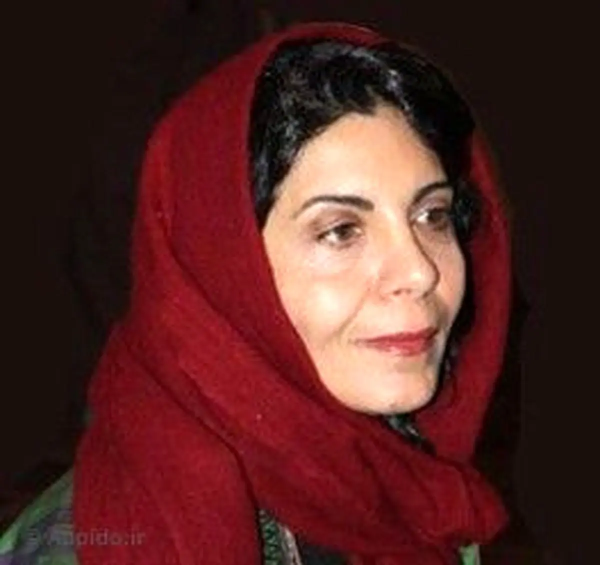 بیوگرافی نیره فراهانی بازیگر زن سینما و تلویزیون