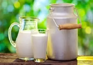راهکاری طلایی برای 10 برابر کردن خاصیت شیر