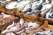 صادرات آبزیان ۳۲ درصد افزایش یافت
