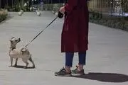 پارک یا توالت عمومی سگ‌ها؟
