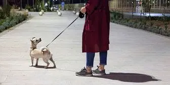 ممنوعیت سگ‌گردانی در بوستان ها مطابق مقررات جاری کشور