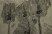 فسیل جانداری به شکل گل لاله کشف شد