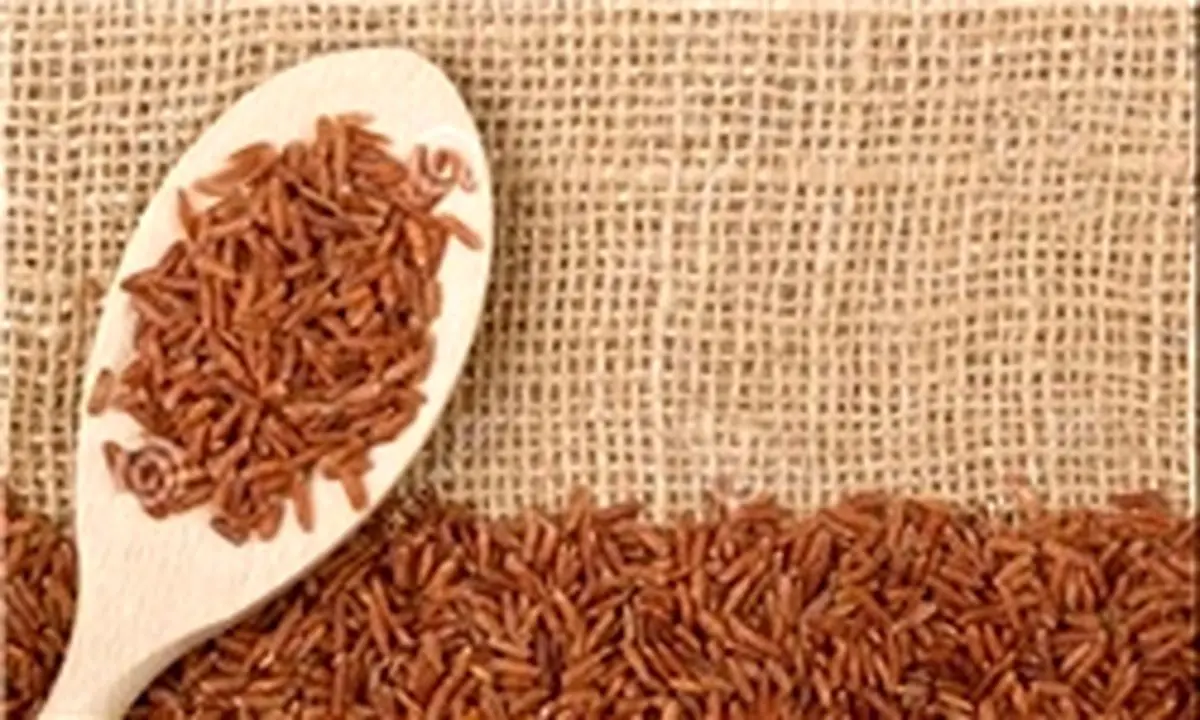برنج قهوه ای را هفته ای دوبار میل کنید