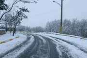 بارش10 سانتی‌متری برف در بخش چناررود چادگان
