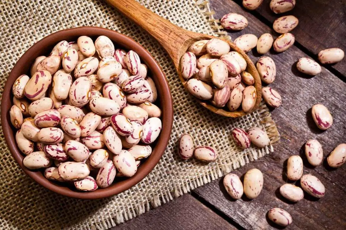 سود لوبیای چیتی بیشتر از دلار!