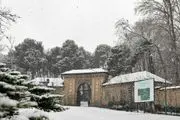 برف کاخ سعدآباد را تعطیل کرد