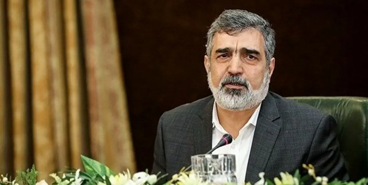 کمالوندی: ایران درباره سه مکان ادعایی کمال همکاری را با آژانس داشته است