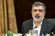 کمالوندی: ایران درباره سه مکان ادعایی کمال همکاری را با آژانس داشته است