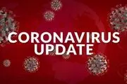 افزایش شمار مبتلایان به کرونا در استان ایلام به ۱۰۷۹ نفر