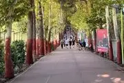 تعطیلی مجموعه ورزشی انقلاب تا اطلاع ثانوی؛ ماجرا چیست؟