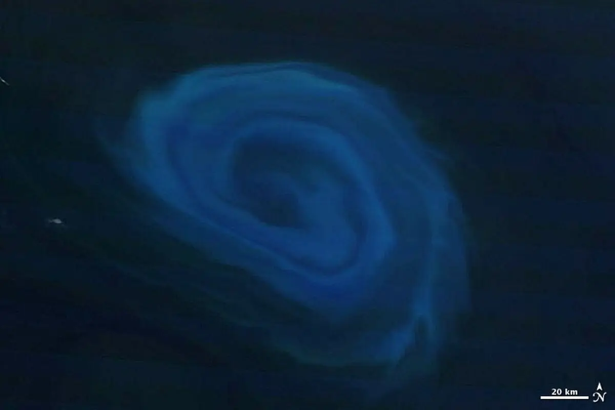 Dumping iron into oceans could sink carbon, slow global warming