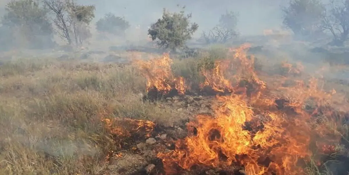تلاش برای مهار آتش‌سوزی جنگل‌های کوه نارک گچساران