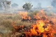 تلاش برای مهار آتش‌سوزی جنگل‌های کوه نارک گچساران