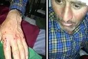حمله پلنگ وحشی به چوپانی در چناران +عکس 