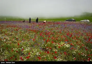 طبیعت
