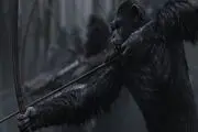 انتشار تصاویر فیلم 