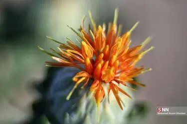 resized_2070957_771