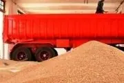 توقیف 100 تن گندم کشت‌شده در اراضی ملی در جعفرآباد