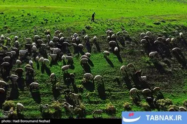 روز ملی روستا و عشایر/گزارش تصویری