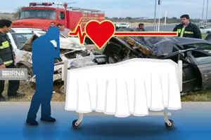 ۱۴۴ زائر در اربعین امسال فوت کردند/ علت مرگ تصادف

