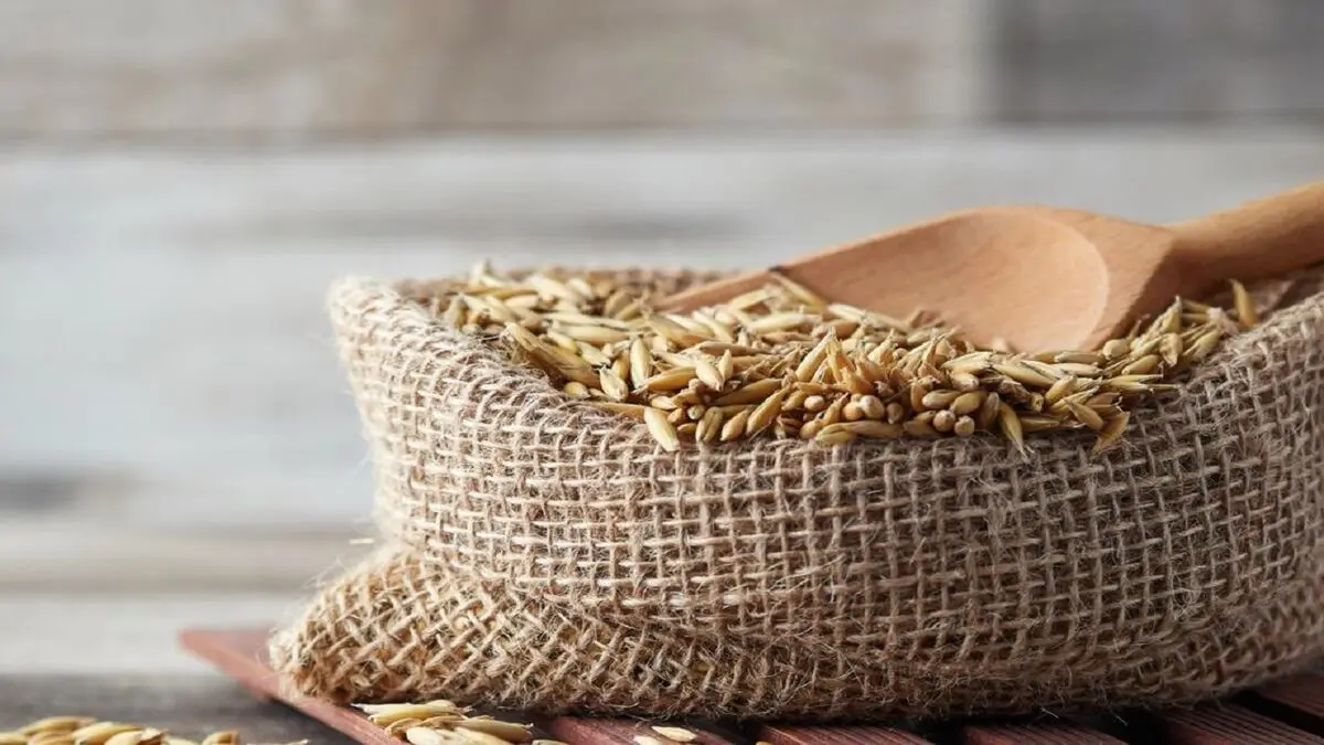 استفاده از جو دوسر در صبحانه چه مزیت‌هایی دارد؟
