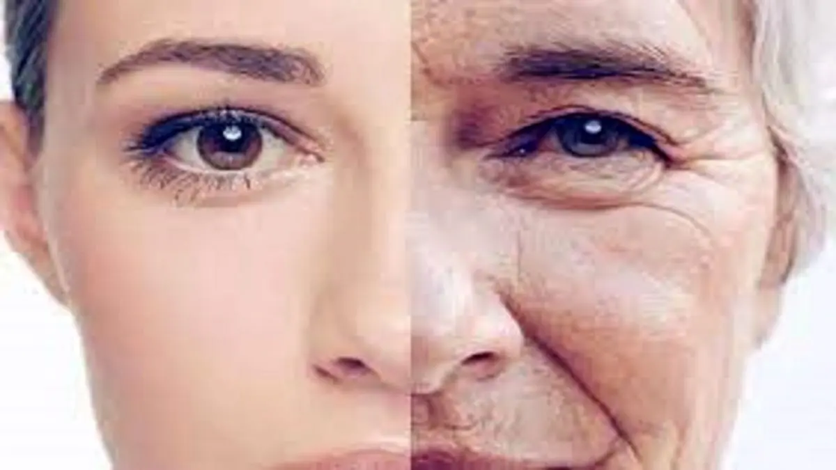 رژیم غذایی کمکالری روشی تاثیر گذار برای کاهش سرعت پیر شدن