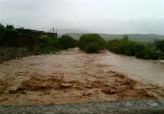 سیلاب به ۹۰۰ هکتار از عرصه‌های کشاورزی خراسان شمالی خسارت زد 