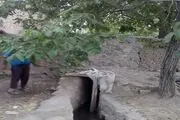 بوی تعفن سگ در قنات اسلام آباد رابر همچنان ادامه دارد