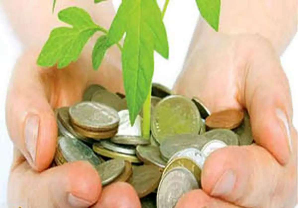 دولت به‌جای خودرو قسطی،پول کشاورزان را بدهد