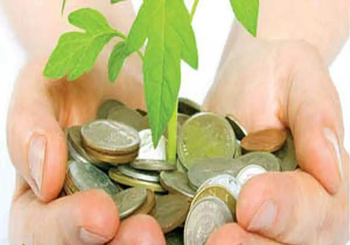 دولت به‌جای خودرو قسطی،پول کشاورزان را بدهد