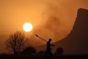 کشاورزی سنتی در فارس