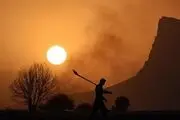 کاهش استقبال کشاورزان نسبت به بیمه محصولات کشاورزی