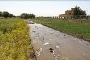 سامانه جامع پایش محیط زیست چیست؟
