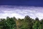  طبیعت زیبای پاییزی جنگلهای ارسباران/ عکس