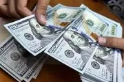 کینه خرس‌ها از دلار تمامی ندارد
