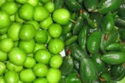 قبل از خوردن نوبرانه‌های بهاری بخوانید