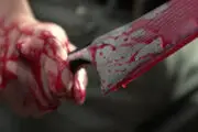 قتل مادربزرگ توسط نوه‌  
