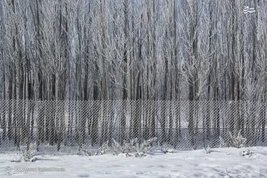 dVrqrIBwrddu