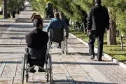  همکاری خلاقانه‌ دو دوست معلول/ عکس