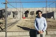 سودهی هر شترمرغ 5 برابر گاو ماده است