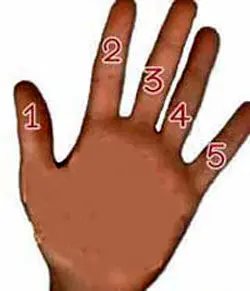 شخصیت شناسی جالب با پنج انگشت دست