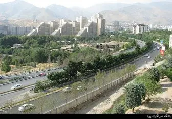 بهشت «معتادان مسلح» در شمال تهران + تصاویر