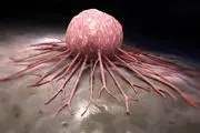 دارویی که سلول‌های سرطانی را فریب می‌دهد