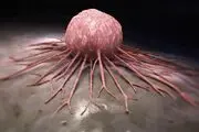 مواد غذایی ارگانیک و کاهش خطر سرطان